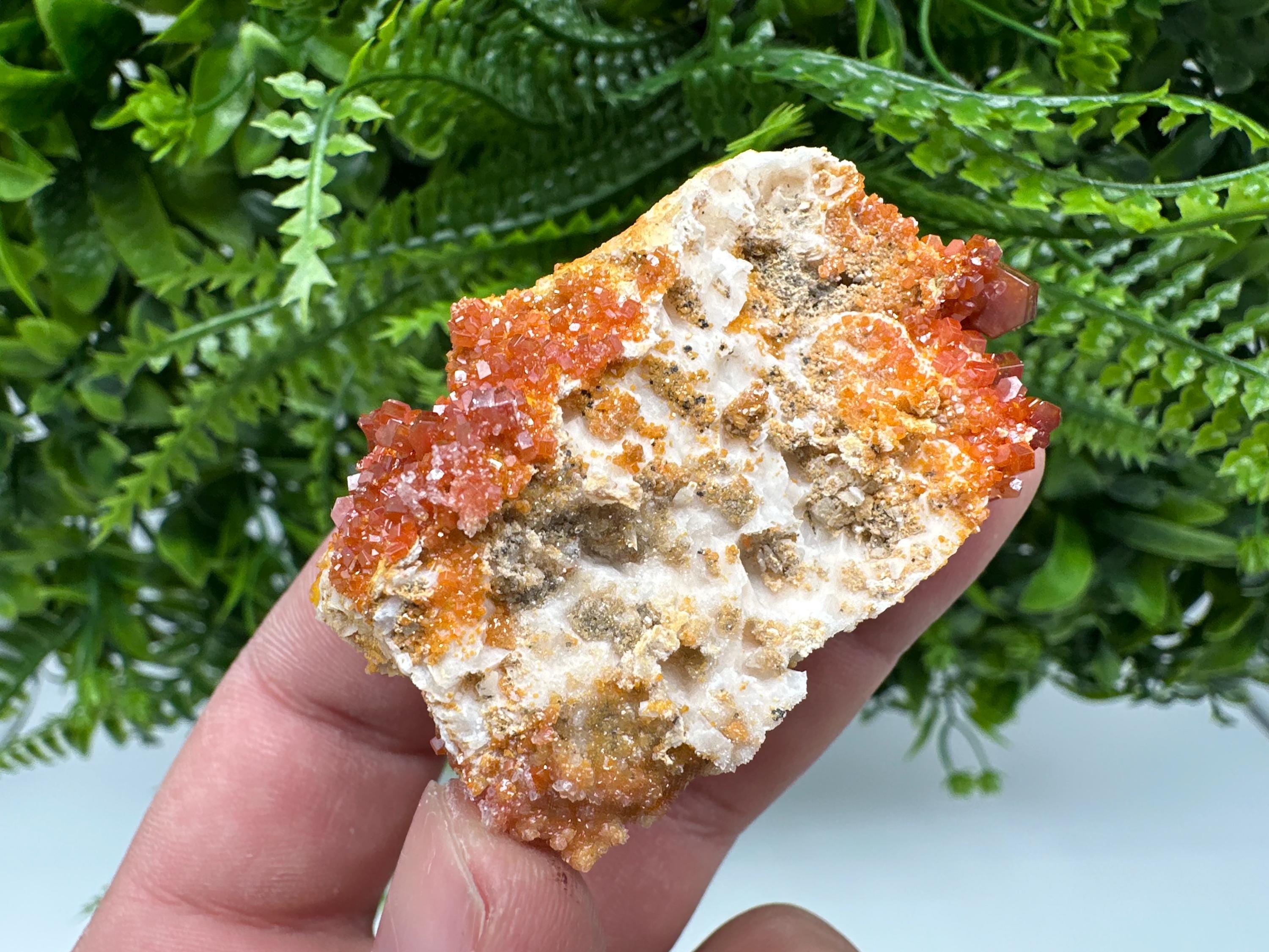 Red Vanadinite on Barite, Morocco Mineral Specimen