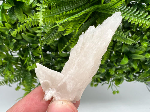 Calcite on Aragonite: Djurcovo Mine, Bulgaria Healing Crystal