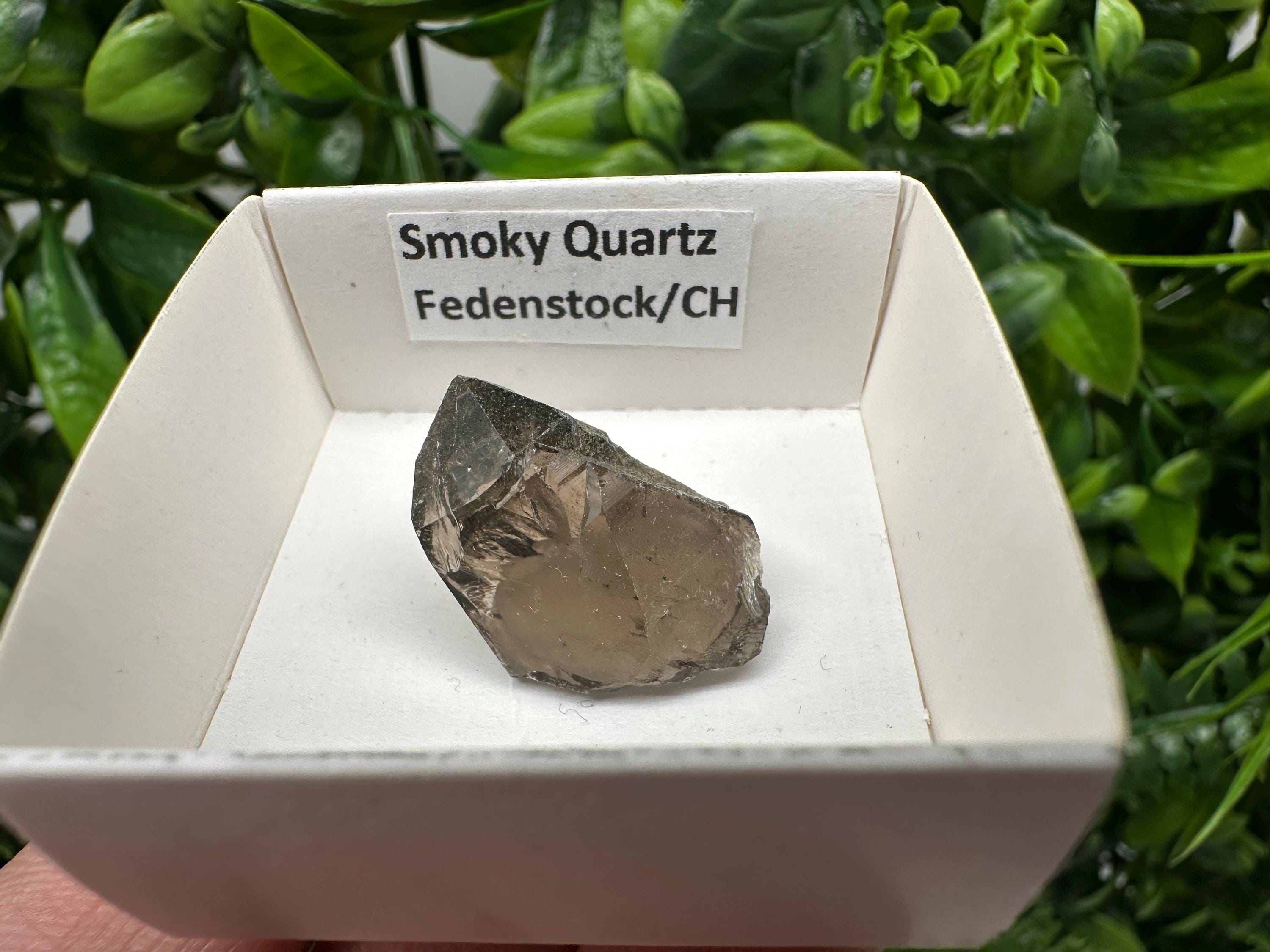 Rare Fedenstock Smoky Quartz Point, Swiss Mineral Specimen (25MM)