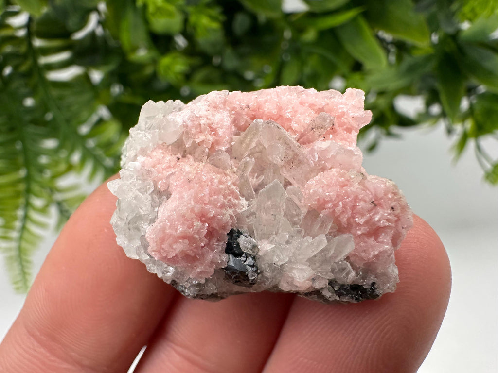Pink Rhodochrosite Crystal: Starnica Mine, Bulgaria, Home Decor