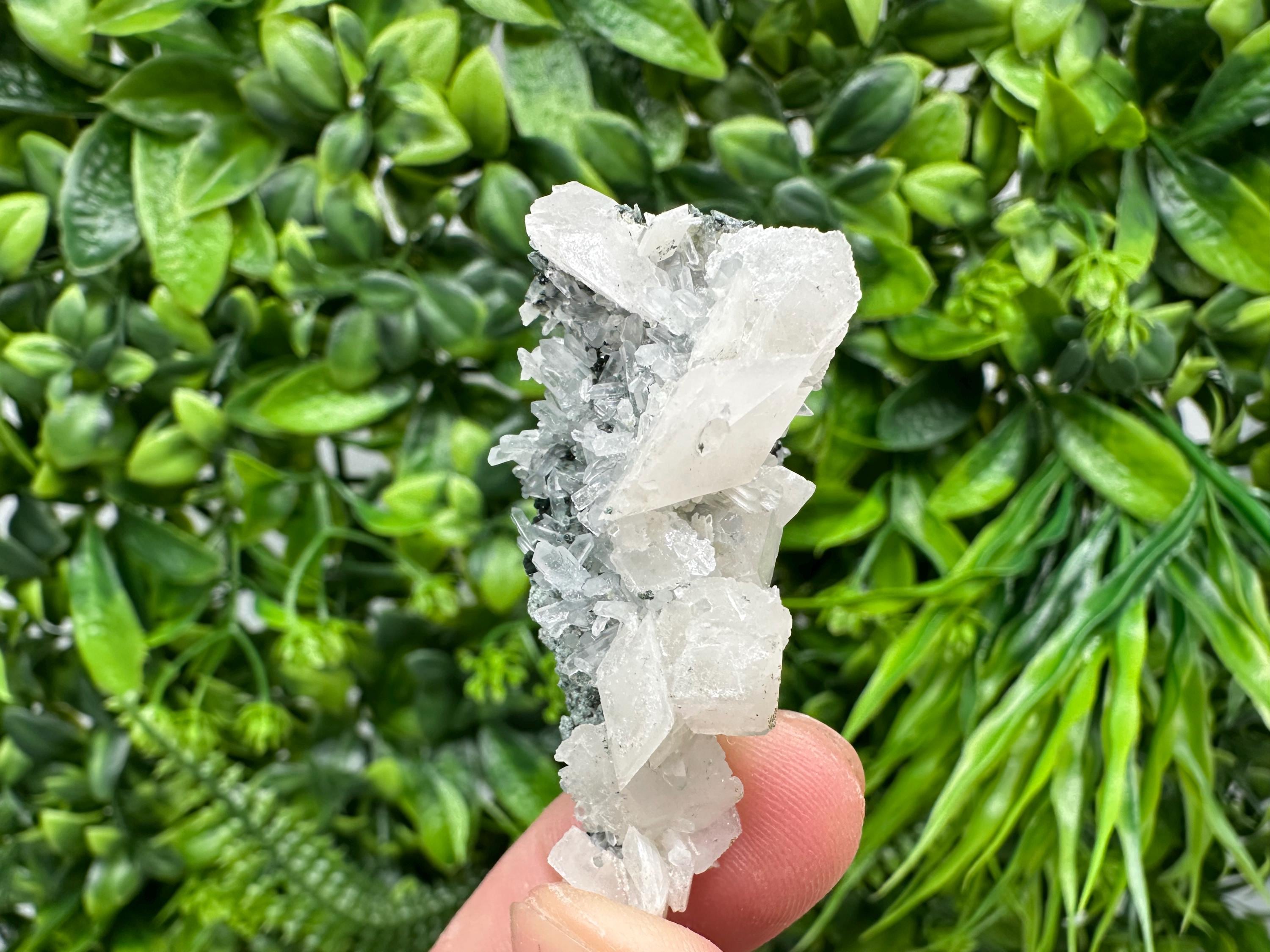 Quartz Calcite on Chlorite Matrix, Borieva Mine Mineral Specimen