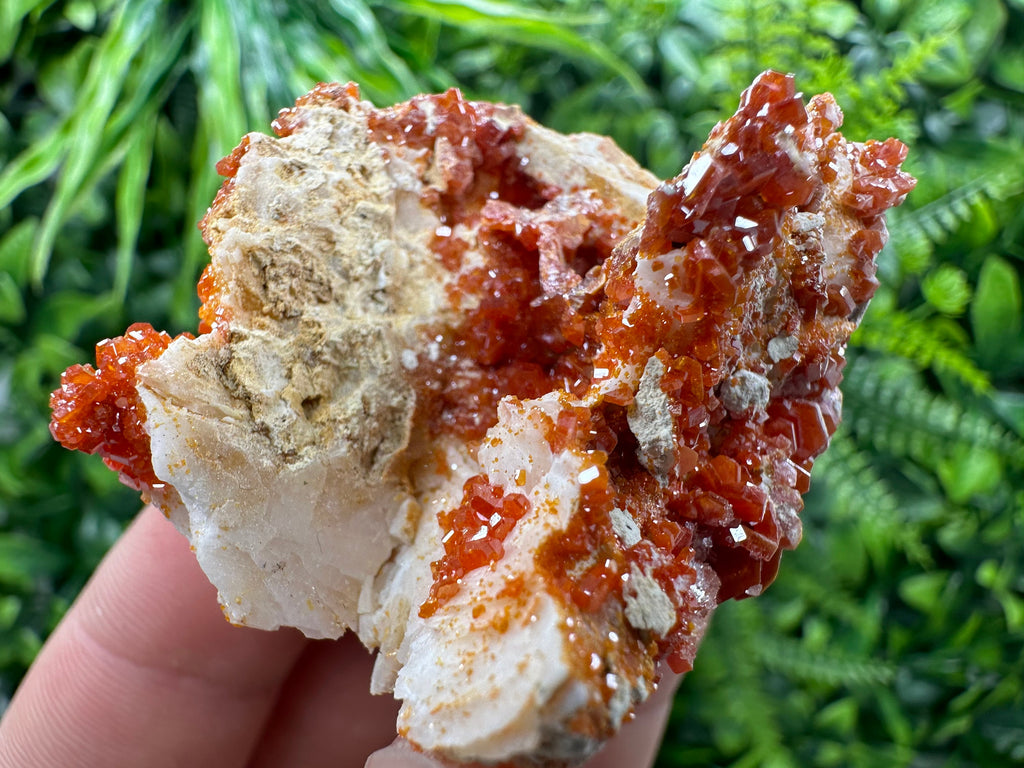 Red Vanadinite Crystal Cluster on Matrix, Morocco Mineral Specimen