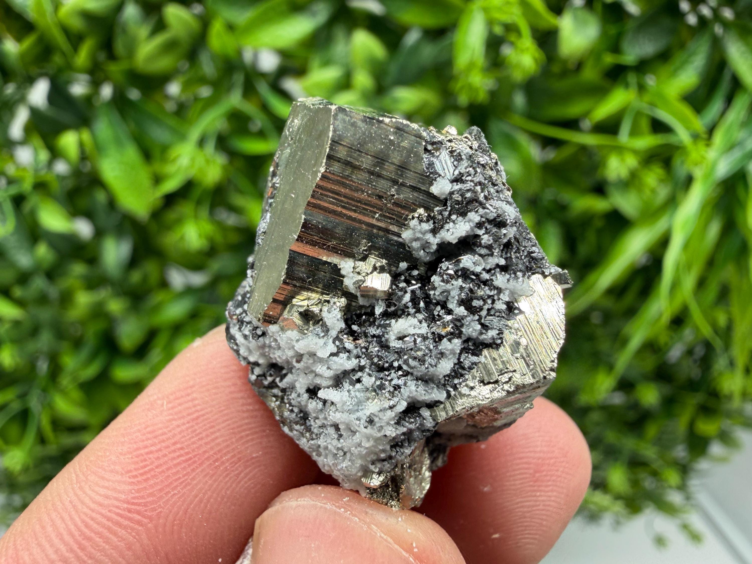 Pyrite Sphalerite Quartz  Mineral Specimen, Krushev dol Mine