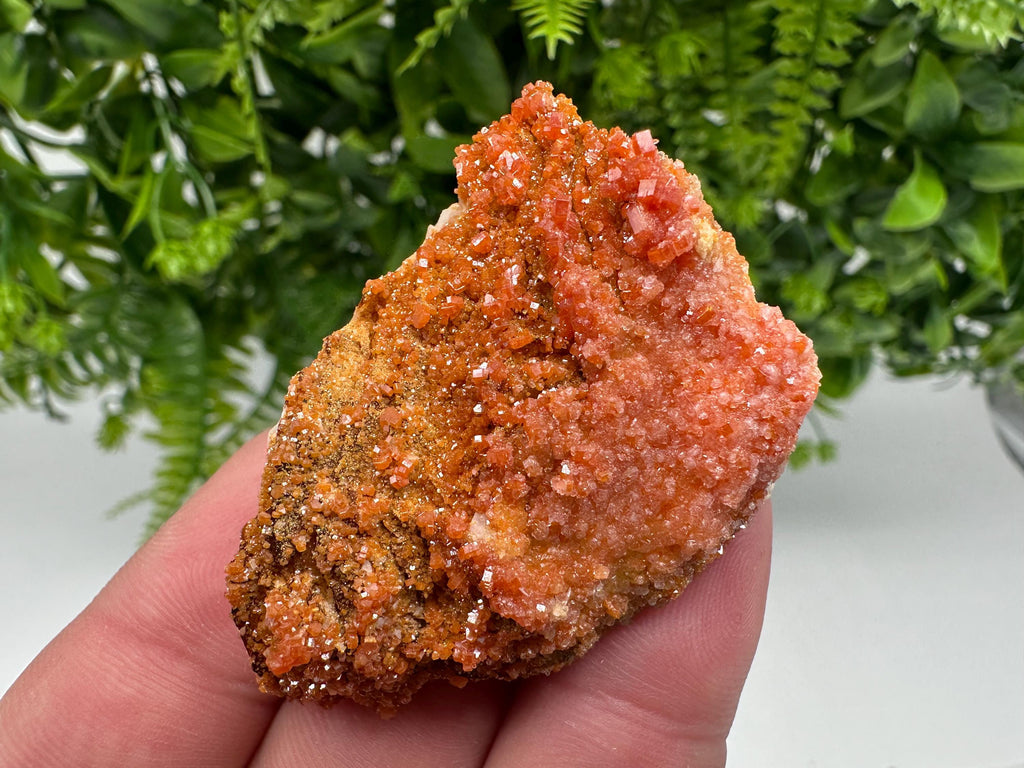 Red Vanadinite on Barite from Marocco,crystal minerals Speciment cluster Vanadinite crystal Vanadinite Geology Vanadinite cluster minerals