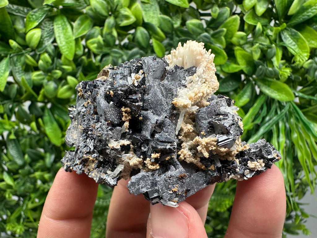Skeletal Galena Mineral Specimen: Madan Bulgaria Collectible Stone