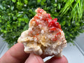 Red Vanadinite on Barite from Marocco,crystal minerals Speciment cluster Vanadinite crystal Vanadinite Geology Vanadinite cluster minerals