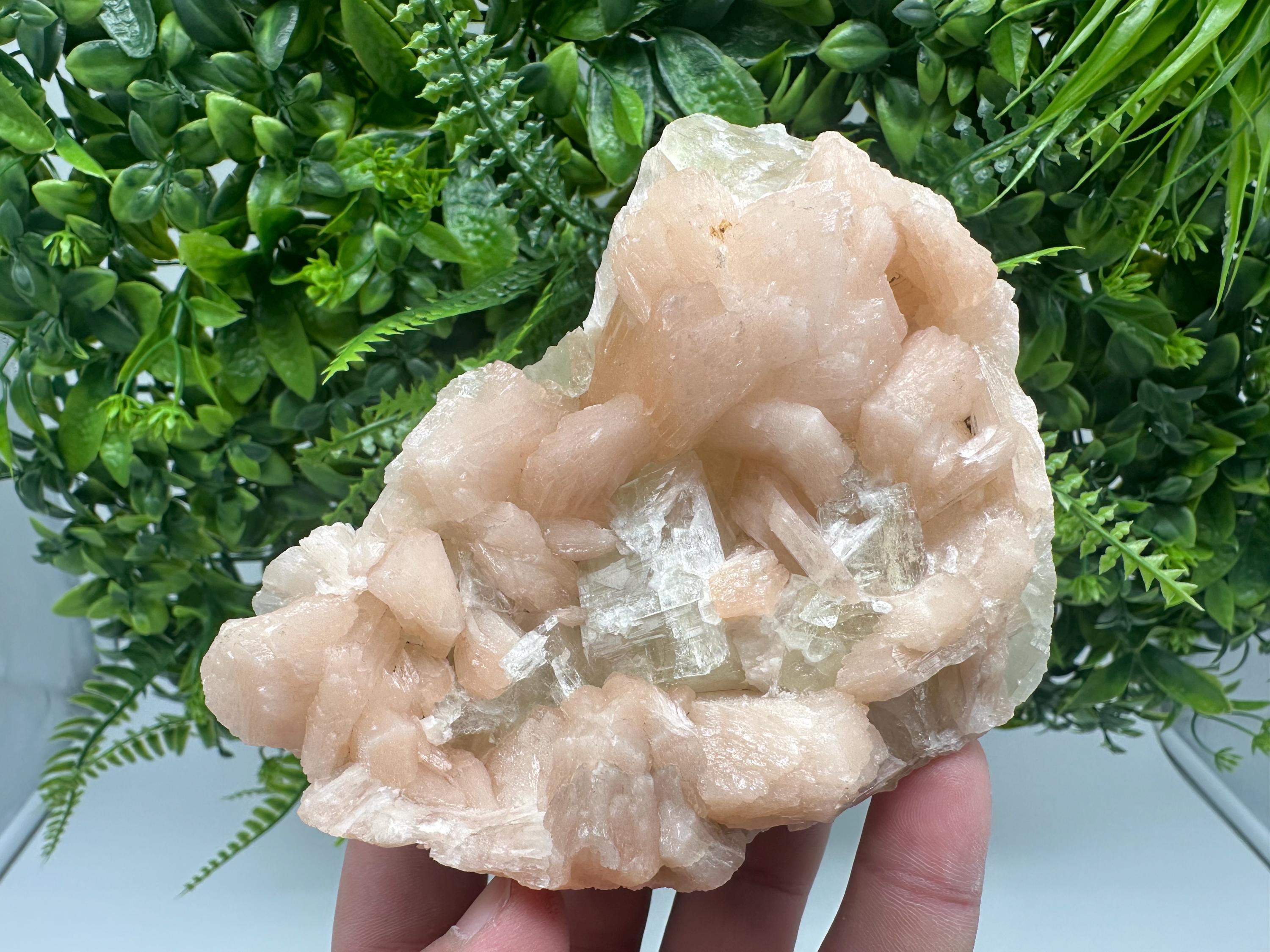 Apophyllite Stilbite on Chalcedony, India Crystal Specimen