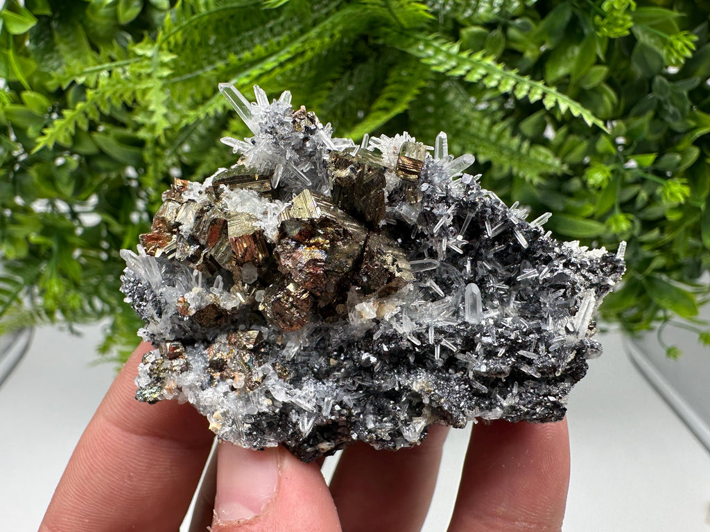Rainbow Pyrite Sphalerite on Quartz: Natural Crystal Home Decor