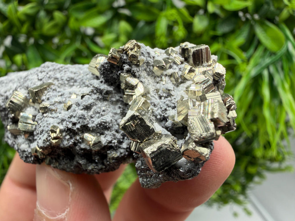 Pyrite Sphalerite Quartz  Mineral Specimen, Krushev dol Mine