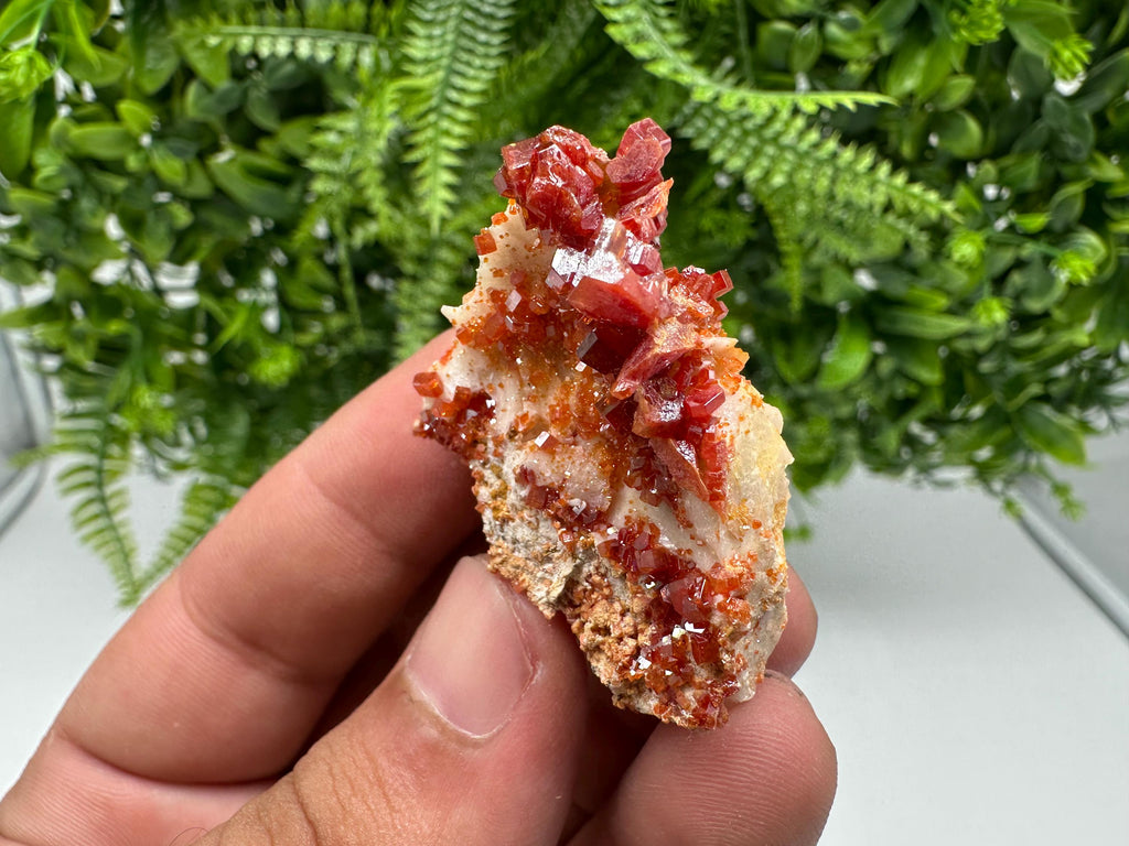 Red Vanadinite on Barite, Morocco Crystal Cluster