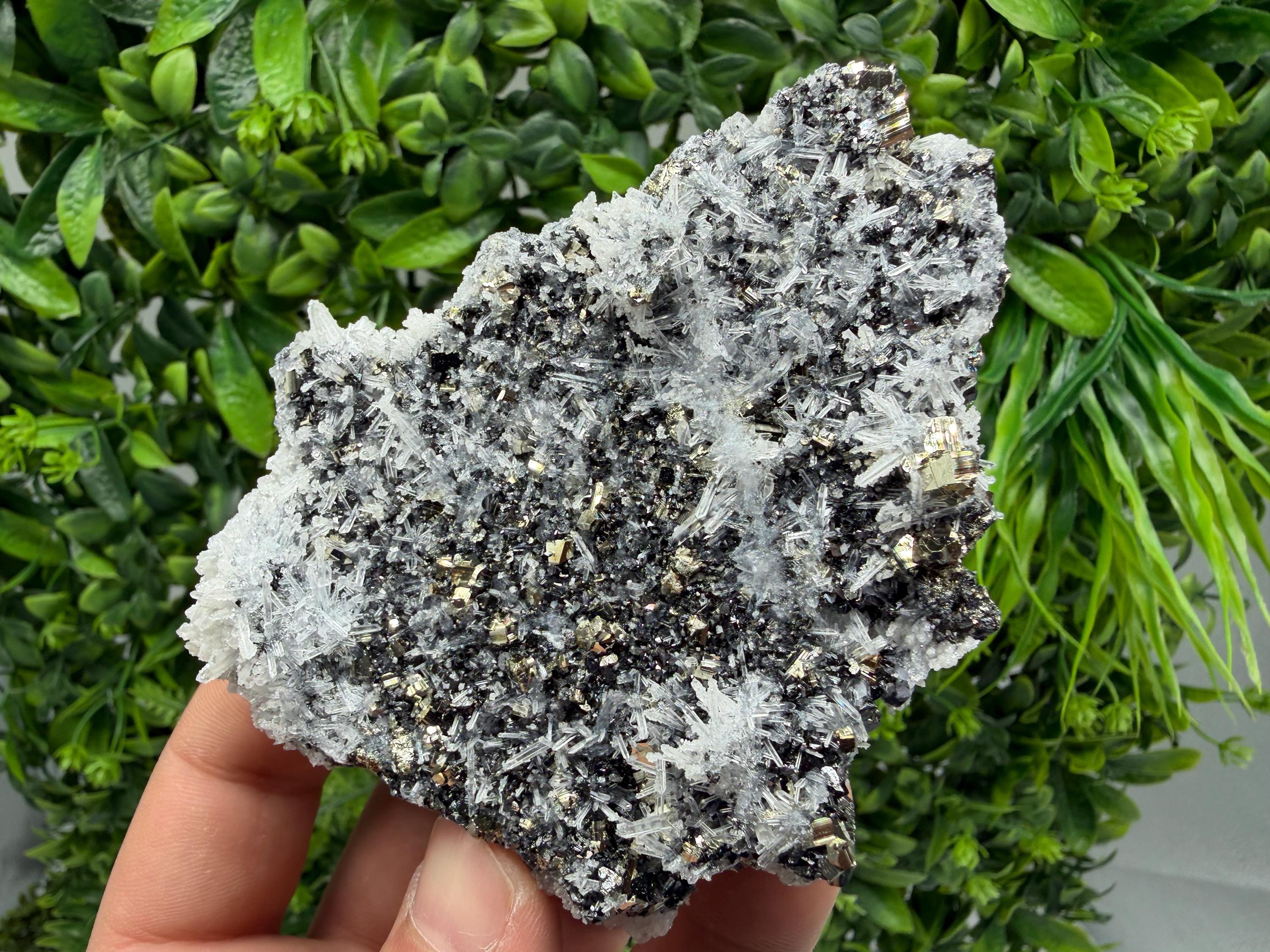 Pyrite Sphalerite Quartz  Mineral Specimen, Krushev dol Mine
