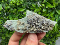 Pyrite Sphalerite Quartz  Mineral Specimen, Krushev dol Mine