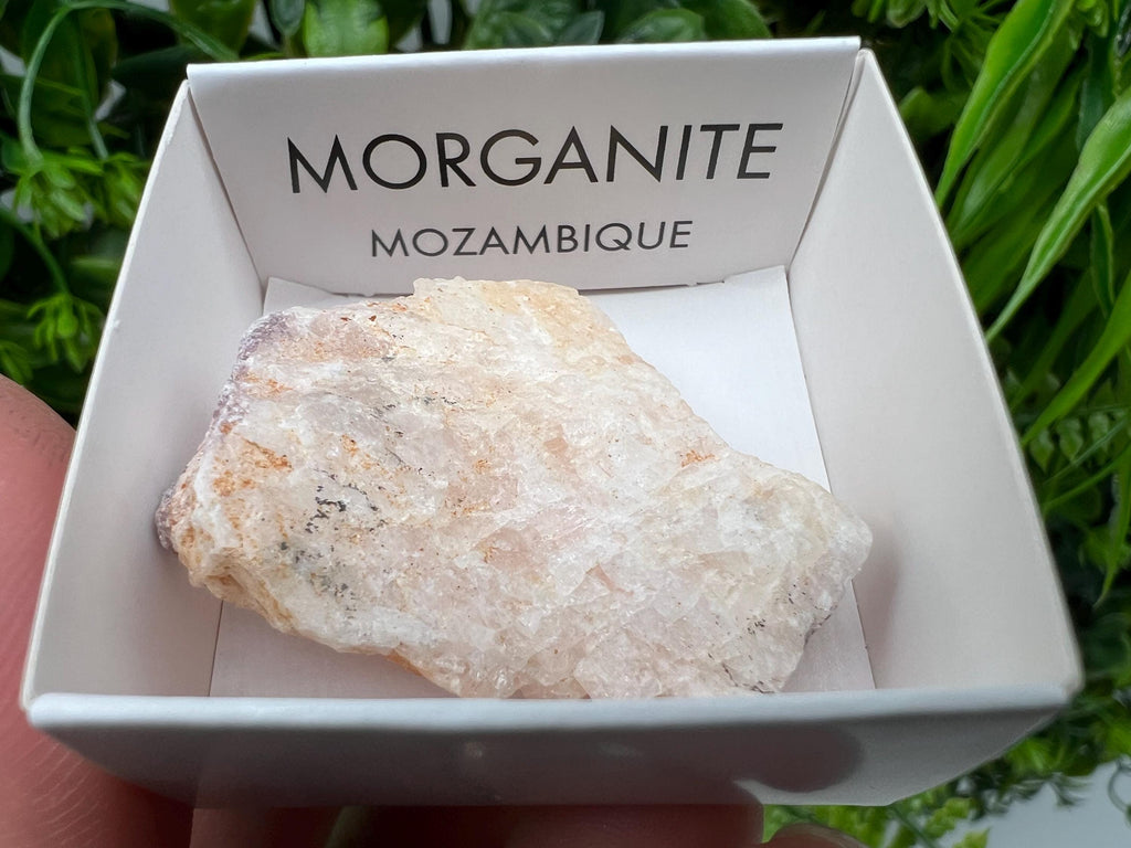 Raw Morganite Mineral Specimen, Mozambique Crystal, Home Decor