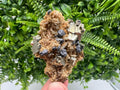 Galena Pyrite Quartz Mineral Specimen: Borieva Mine, Bulgaria