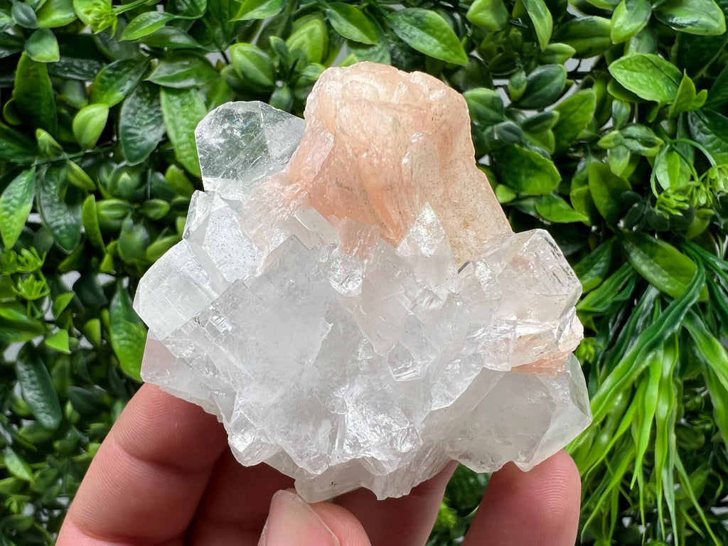 Apophyllite on Chalcedony Specimen: Natural Crystal from India