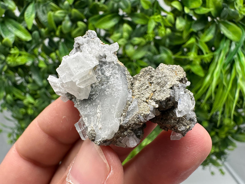 Barite Marcasite on Chalcedony, Androvo Mine, Bulgaria