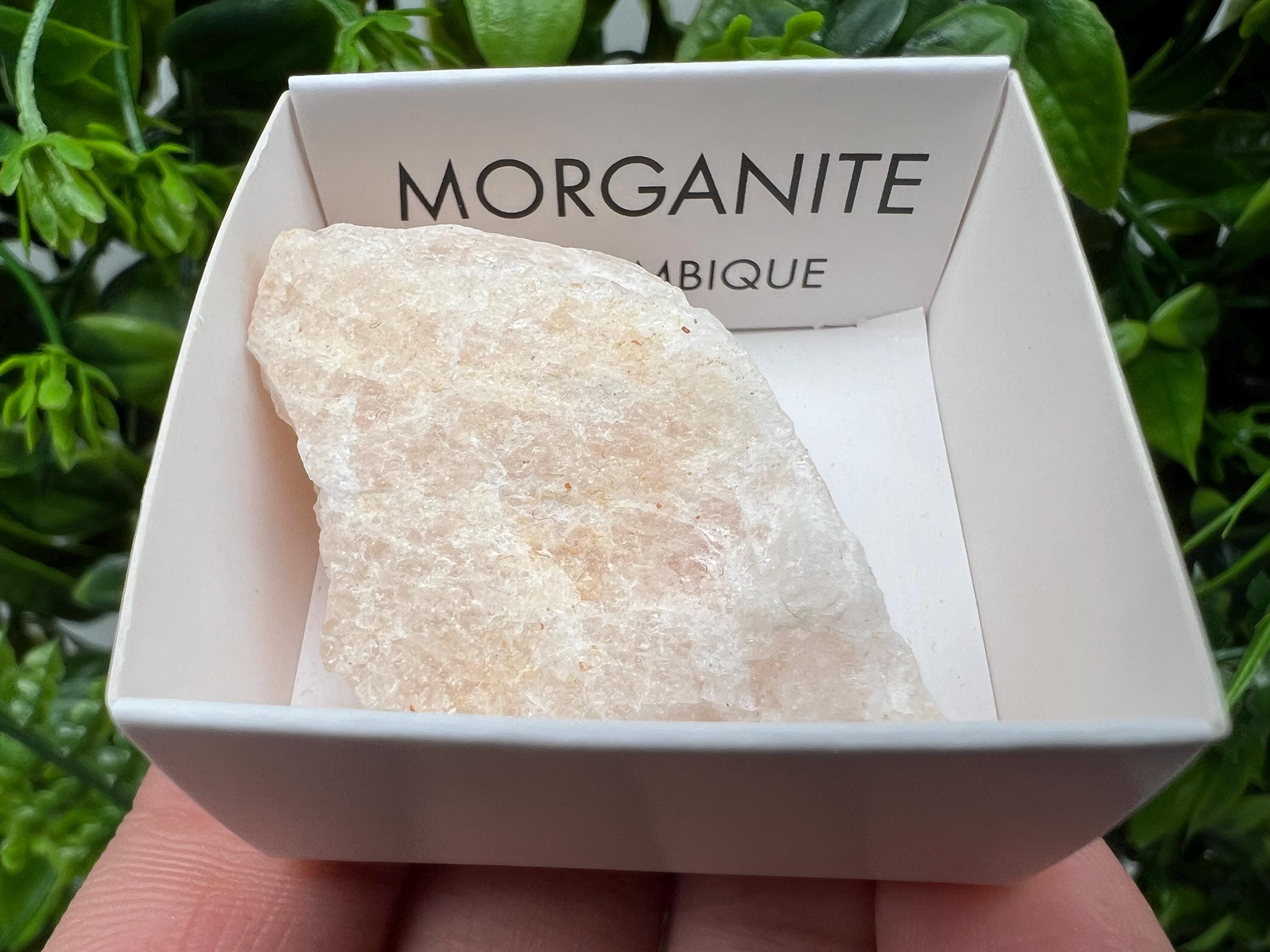 Rare Raw Morganite Mineral Specimen, Mozambique Crystal