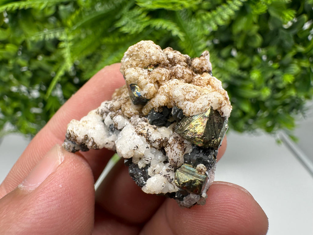 Calcite on Spinel Galena, Krushev dol Mine, Bulgaria