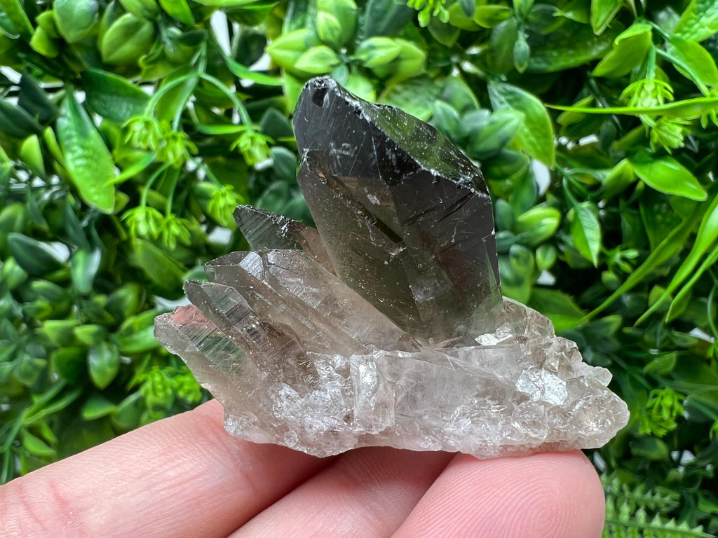 Rare Smoky Quartz,mineral specimen,collection crystal,minerals,Smoky Quartz crystal,from BRAZIL,rare Smoky Quartz,home decor,wholesale,cls