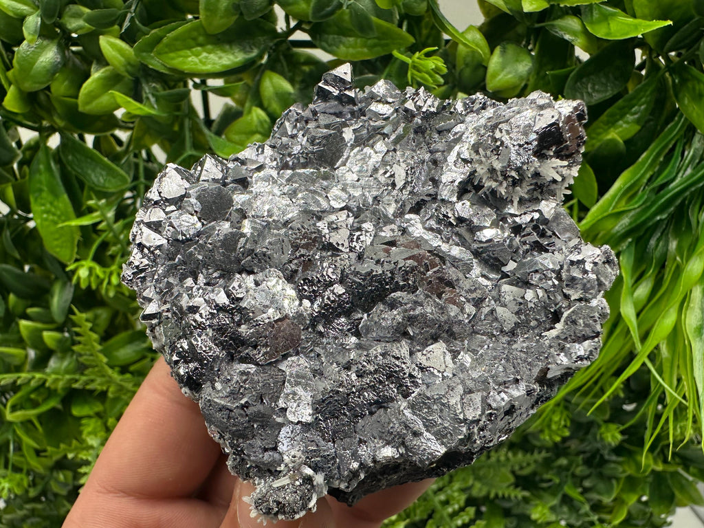 Galena with Quartz Mineral Specimen, Krushev dol Mine, Bulgaria