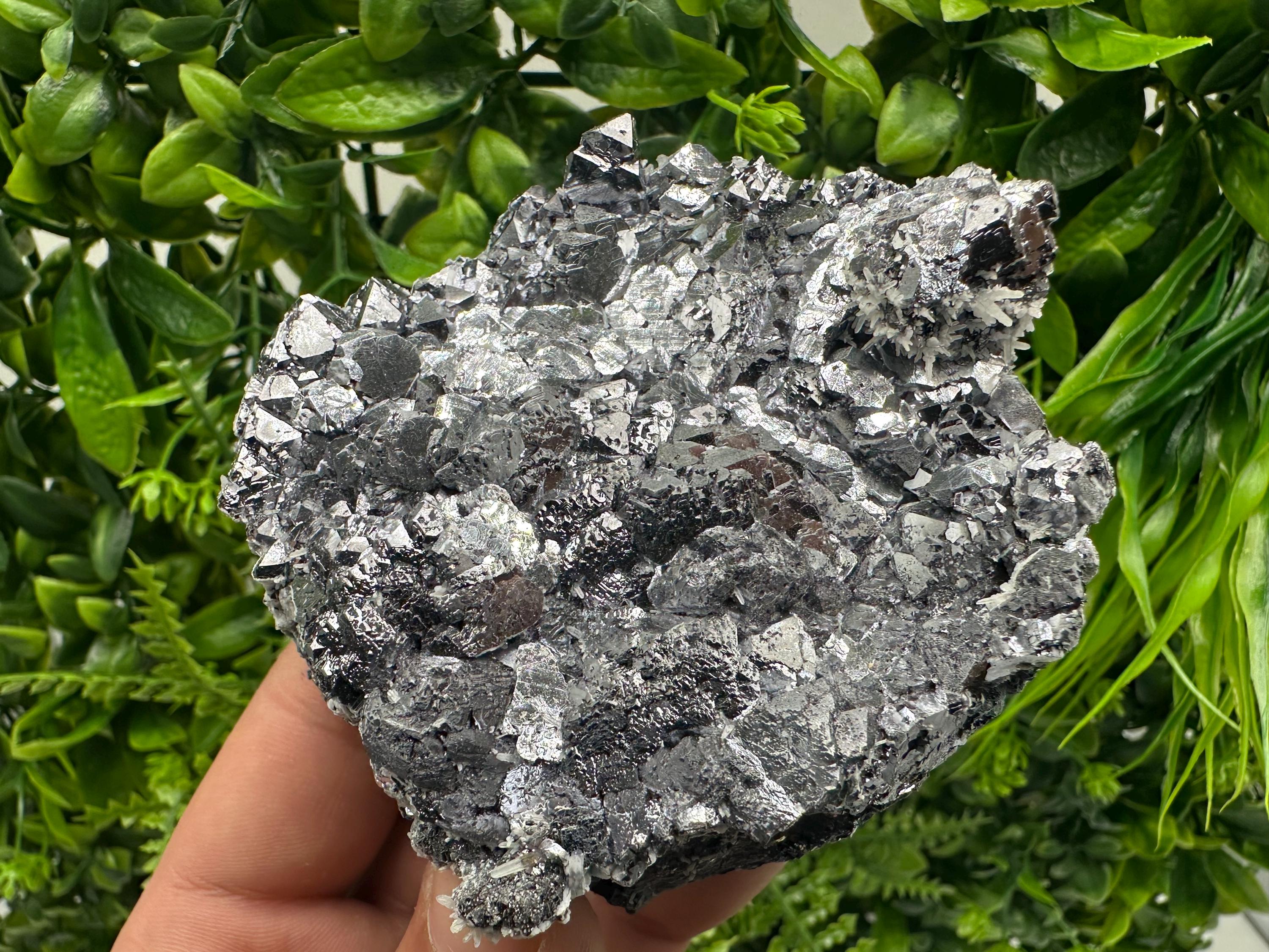 Galena with Quartz Mineral Specimen, Krushev dol Mine, Bulgaria