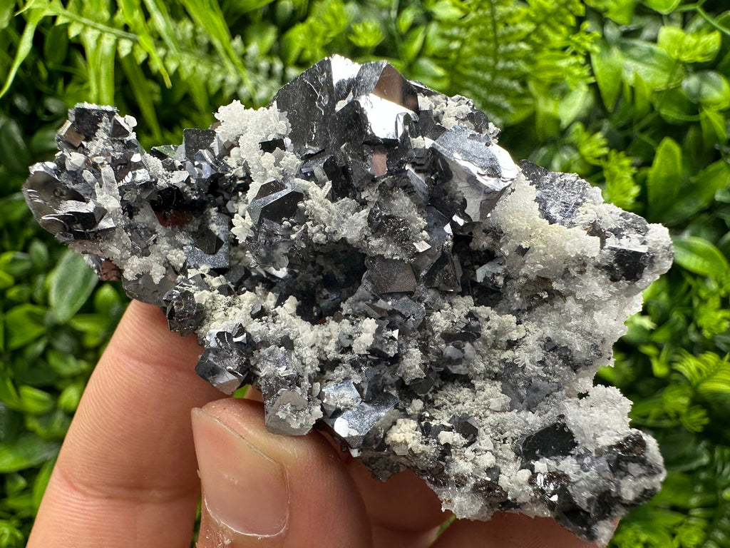 Shiny Skeletal Galena on Quartz with Calcite - Madan Bulgaria Crystal