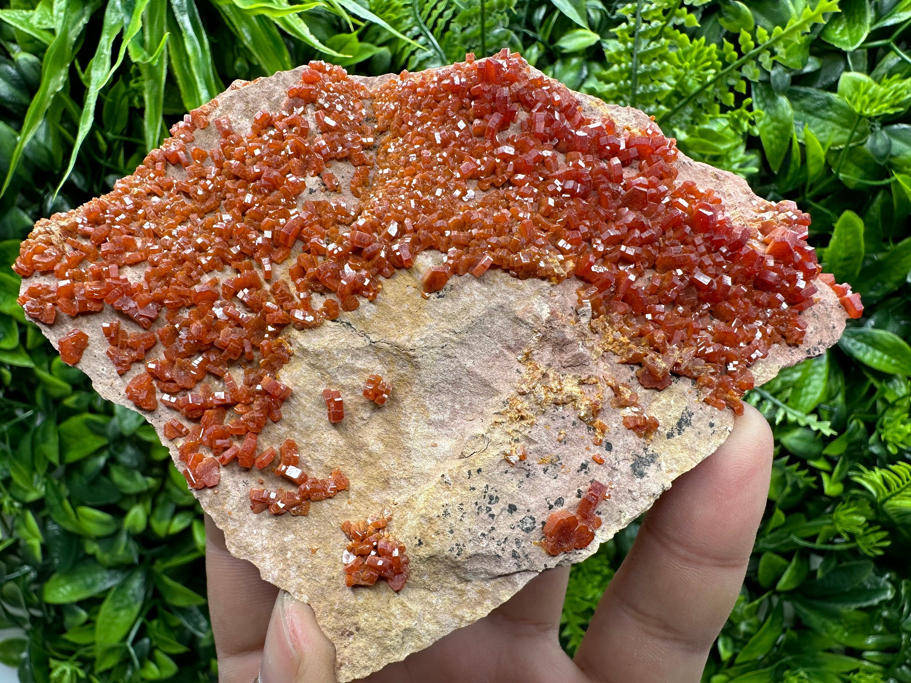 Red Vanadinite Crystal Cluster on Matrix, Morocco Mineral Specimen