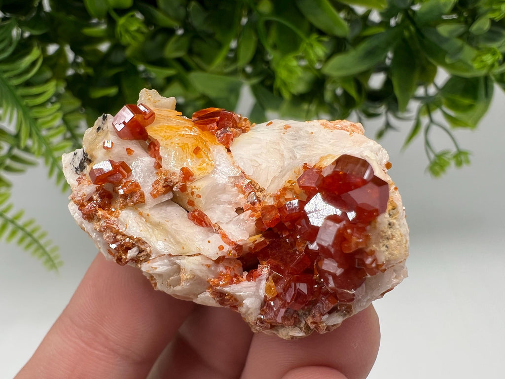 Red Vanadinite on Barite from Marocco,crystal minerals Speciment cluster Vanadinite crystal Vanadinite Geology Vanadinite cluster minerals