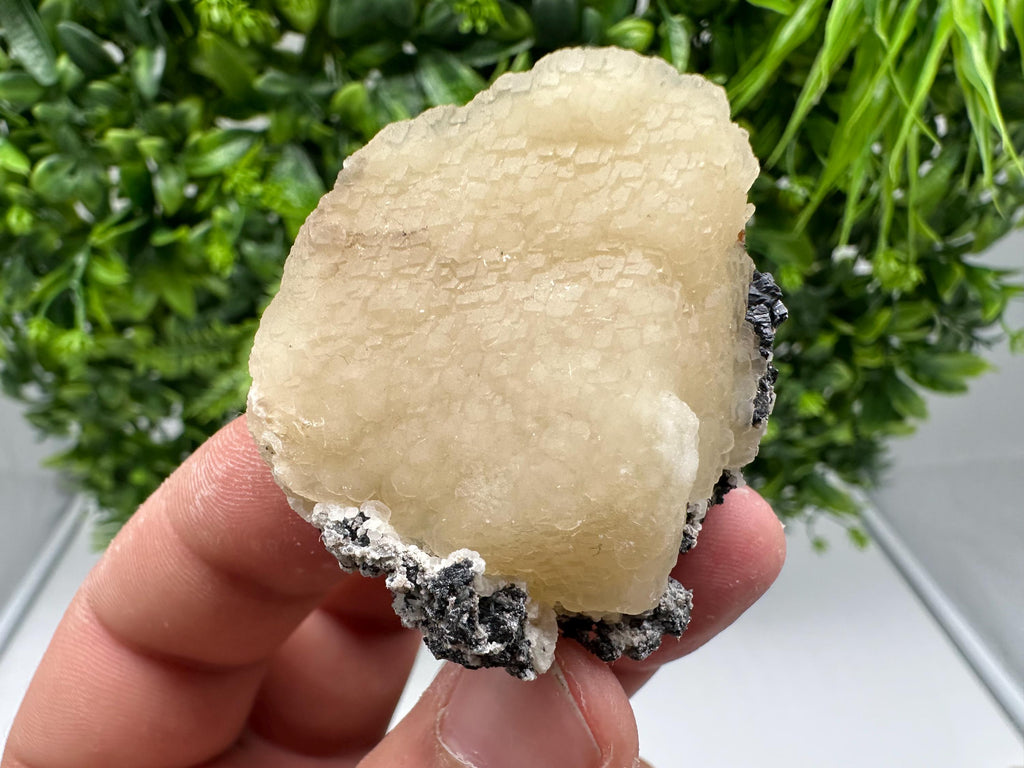 Wonderful and Rare Calcite on Matrix,from 9th September mine,Bulgaria,natural minerals souvenir,gift,home decor,collection Calcite cluster