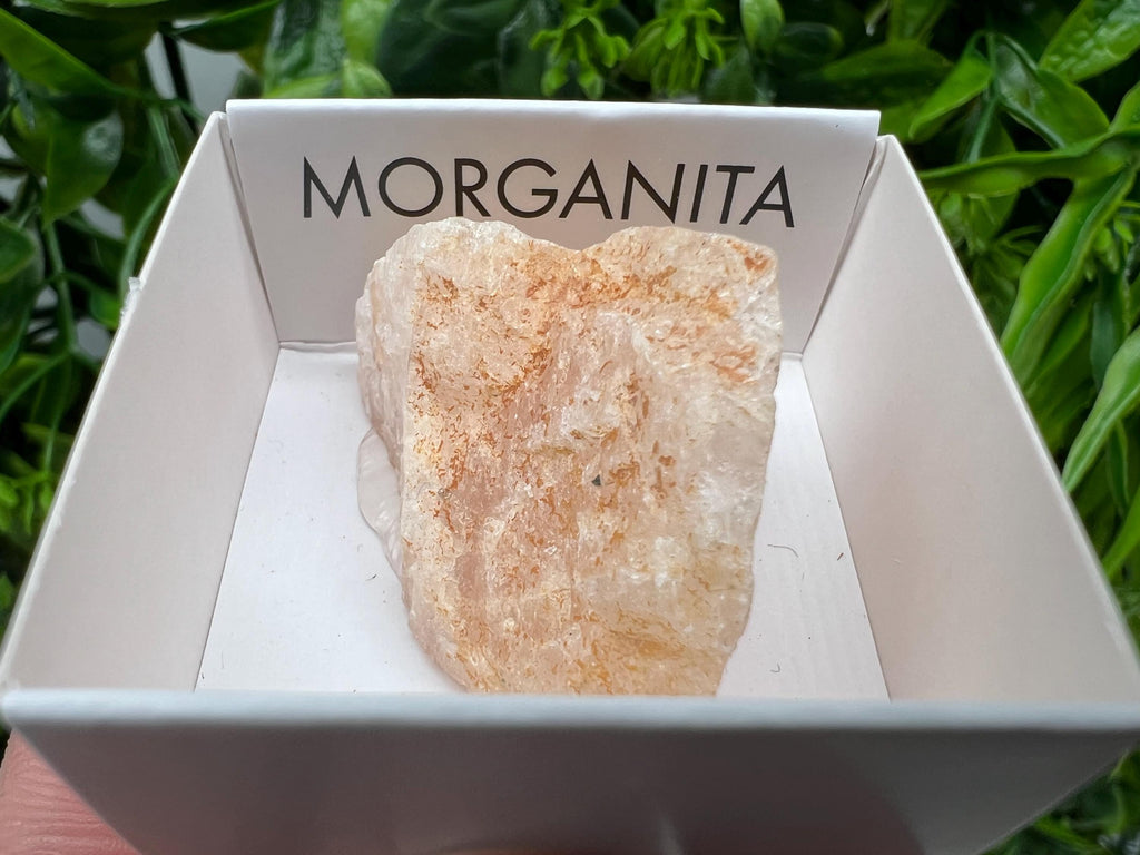 Rare Raw Morganite Specimen: Mozambique Crystal Collection (3/3.5cm)