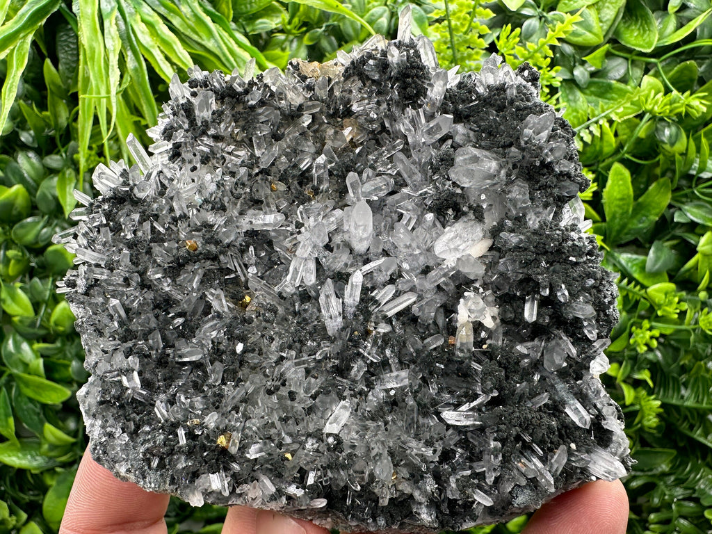 Pyrite on Quartz with Chlorite: Borieva Mine Crystal Decor