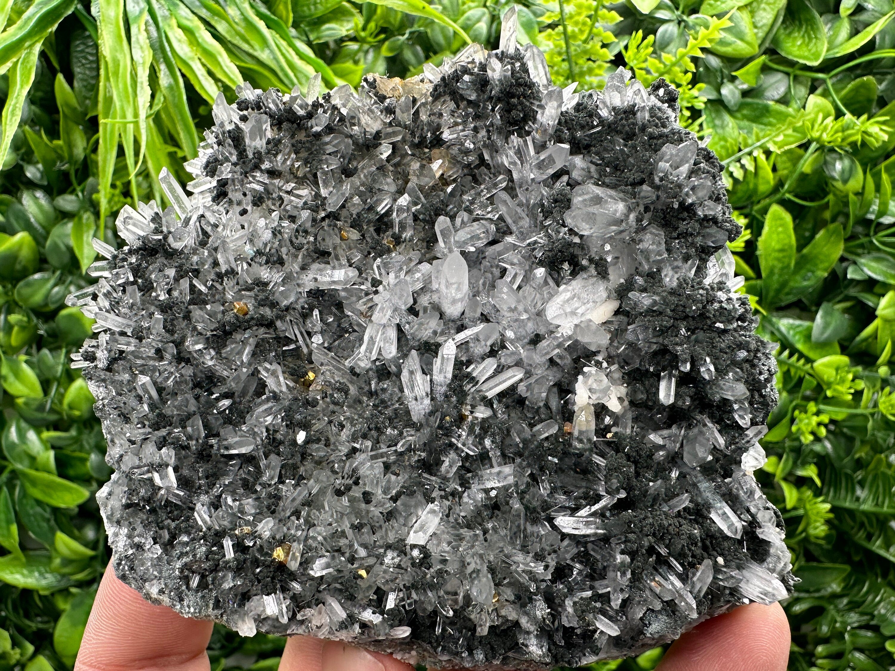 Pyrite on Quartz with Chlorite: Borieva Mine Crystal Decor