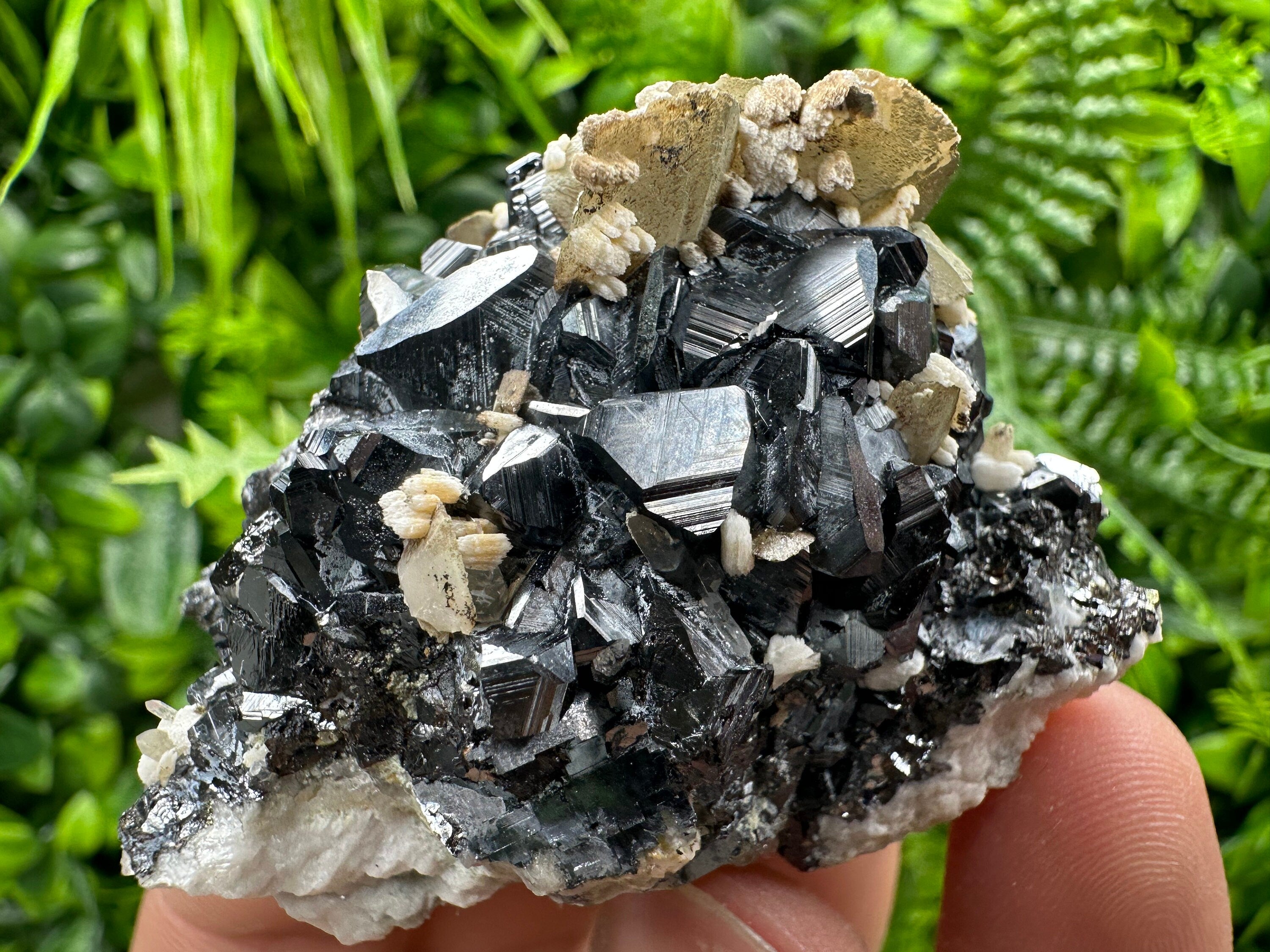 Calcite with Chlorite on Sphalerite, Borieva Mine Mineral Specimen