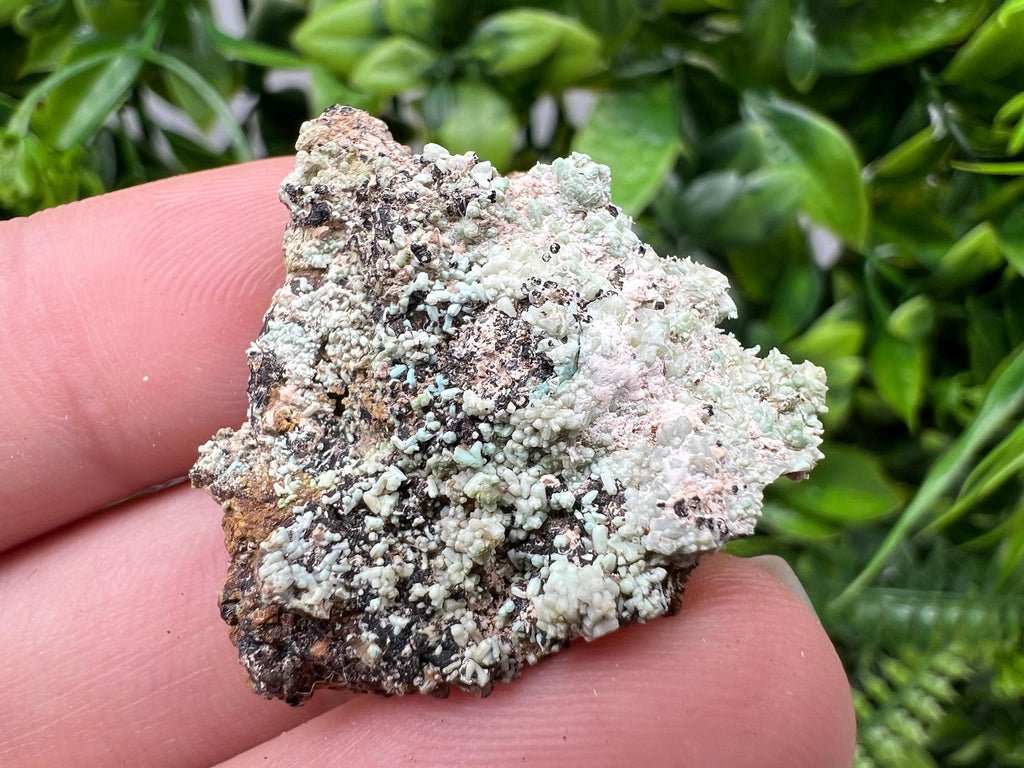 Rare Green/Yellow Pyromorphite and Hematite,on Quartz,from Bulgaria,Madjarovo mine, Natural Mineral ,Healing stone ,top collection,rock