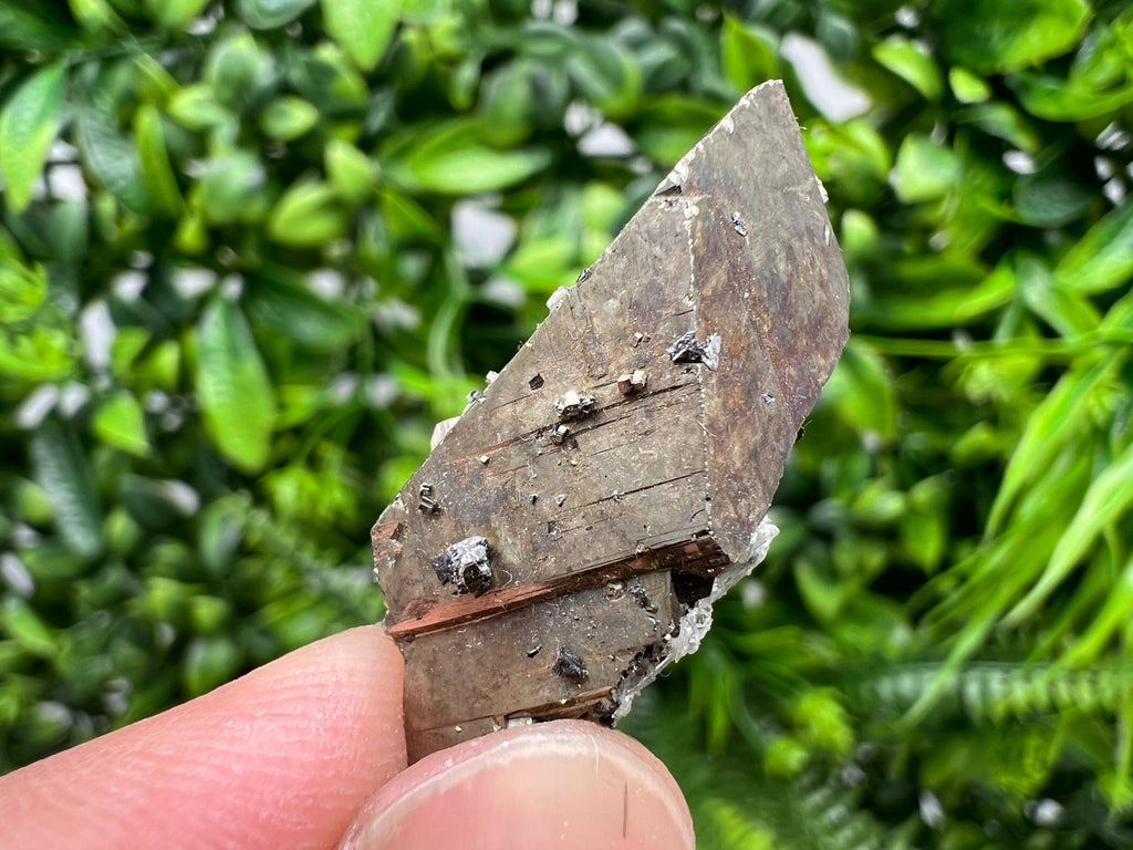 Mini Rainbow Pyrite Cluster: Borieva Mine, Bulgaria