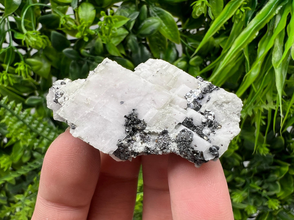 Incredible Mirror Galena on Mangano Calcite from Borieva mine,Bulgaria,natural mineral specimen,home decor stone,rare crystal,geology,gift