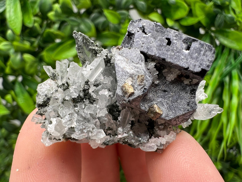Galena Pyrite Quartz Specimen, Borieva Mine, Bulgaria