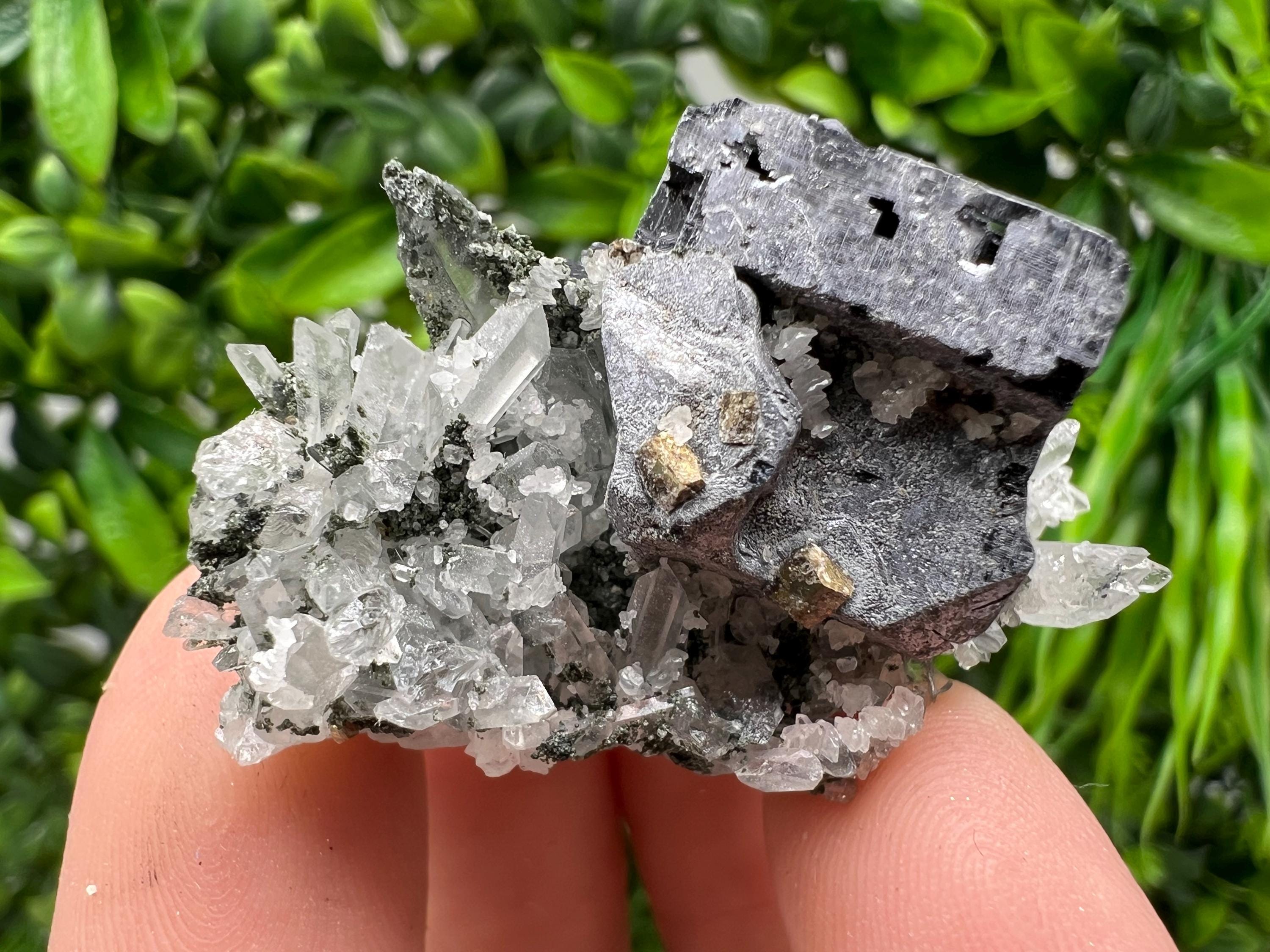 Galena Pyrite Quartz Specimen, Borieva Mine, Bulgaria
