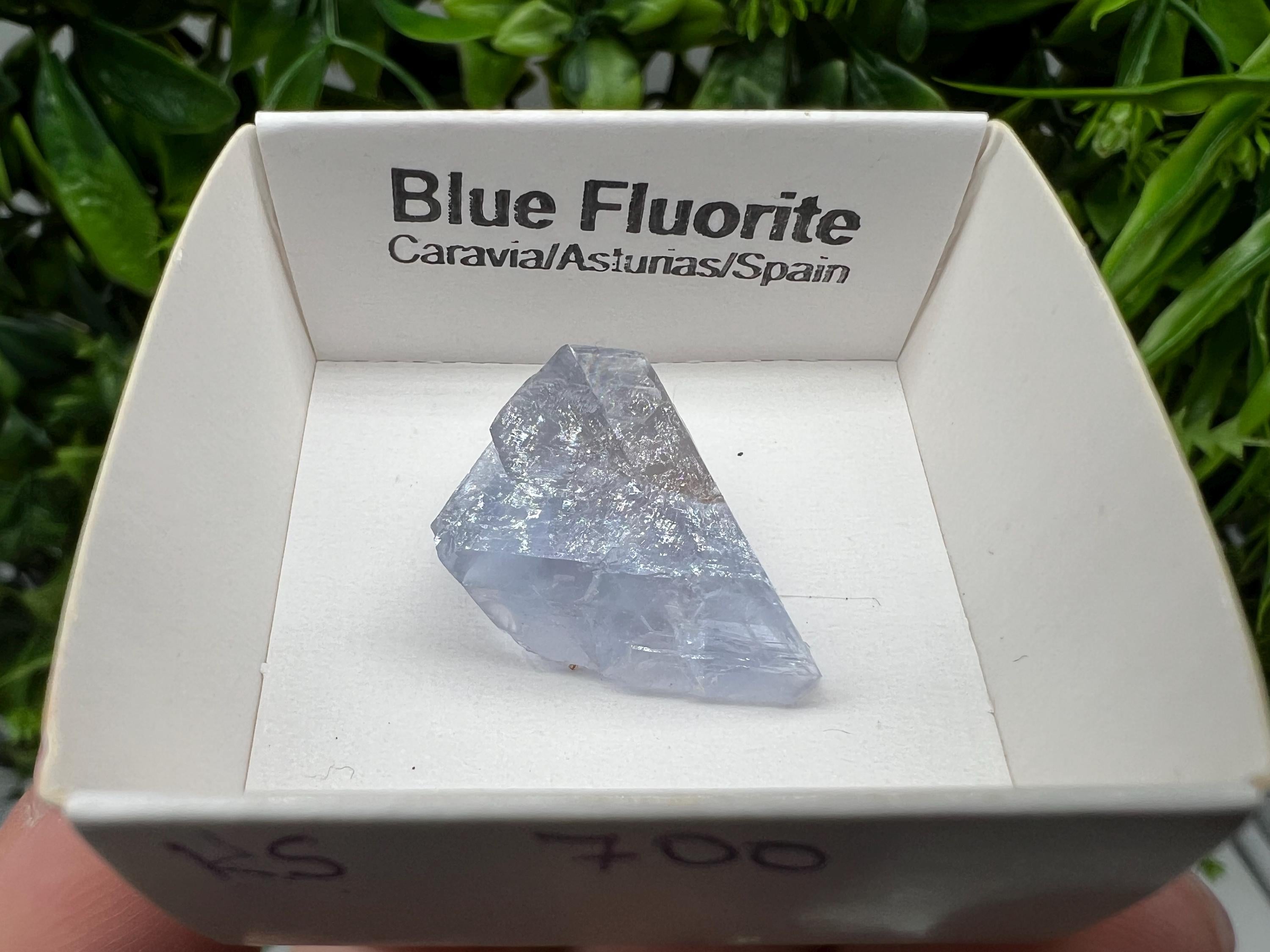 Blue Fluorite from Spain,Mineral Specimen,Blue Fluorite,Fluorite from Spain,Collection, Fluorite Collectors, Crystal Fluorite,collection