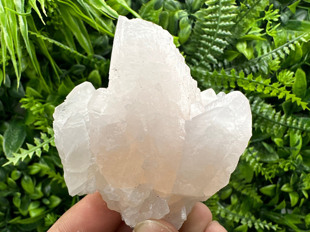 UV Reactive Mangano Calcite Crystal: Androvo Mine, Bulgaria