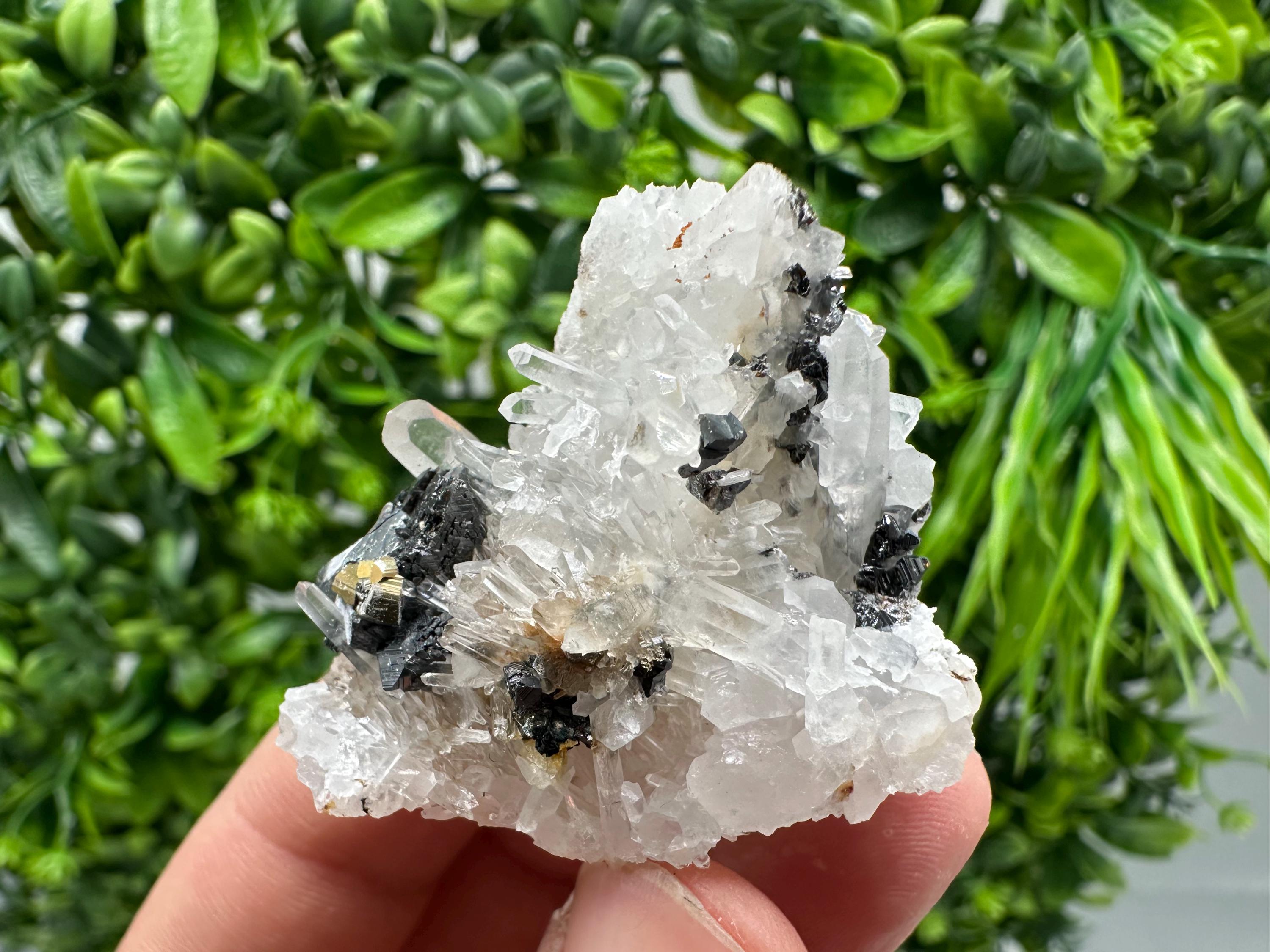 Wonderful Sphalerite Chalcopyrite on  Quartz whit Hematite feom 9 th September mine,Bulgaria,natural,collection mineral specimen,gift