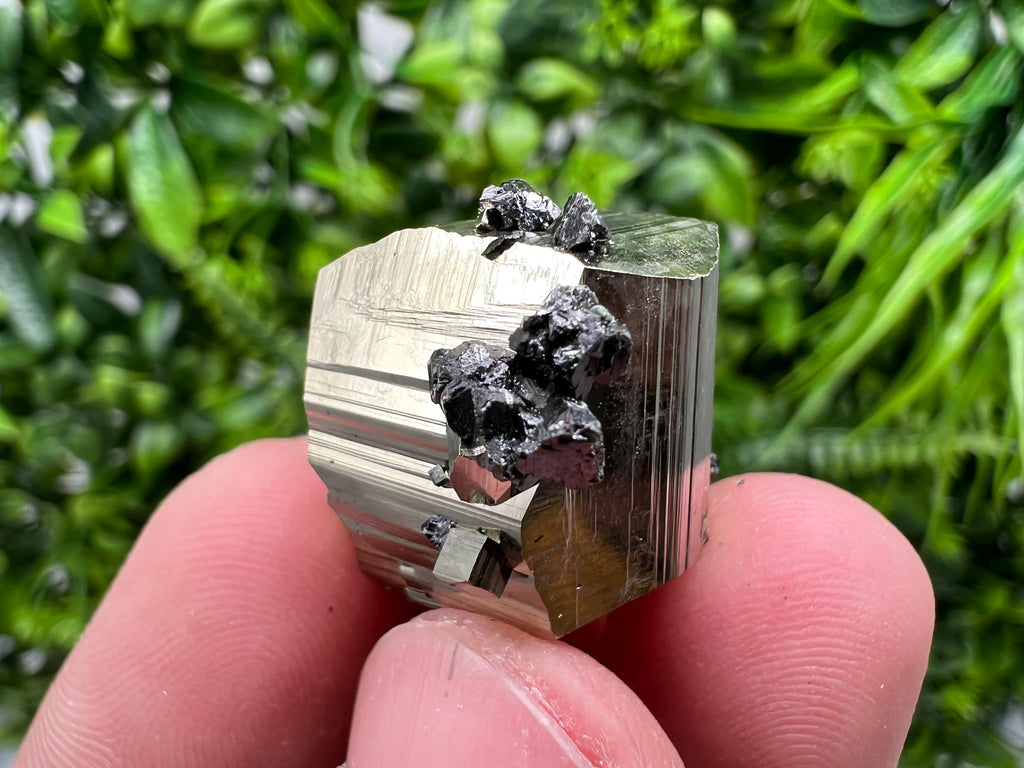 Rare Borieva Mine Pyrite Cluster, Rainbow Crystallization Specimen