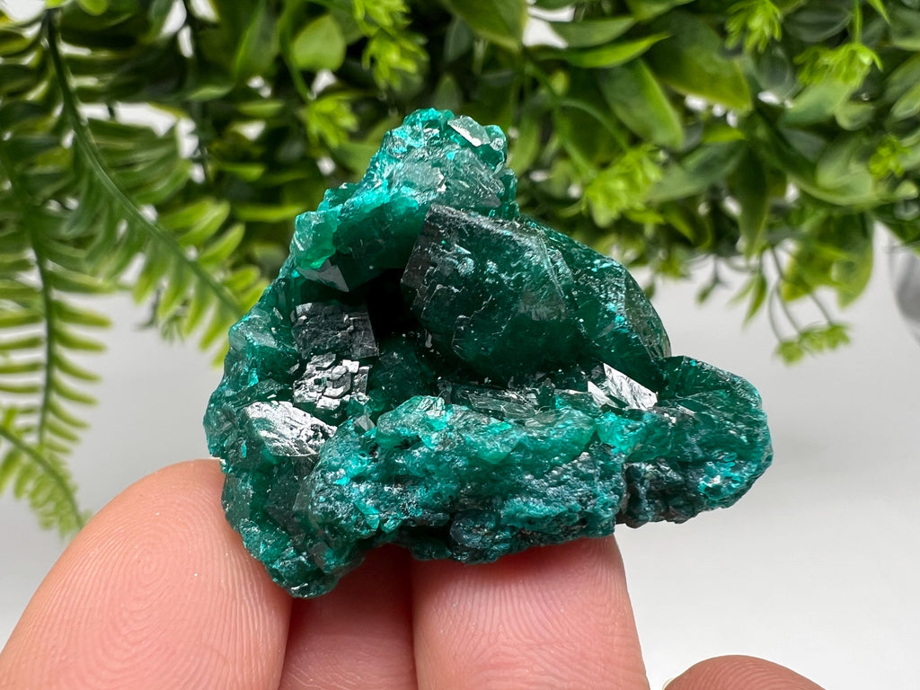 Stunning Green Dioptase from Sanda Hills,Mindouli,Pool Department,Mindouli District,Congo,green Dioptase,Dioptas Crystal,Dioptase collecting