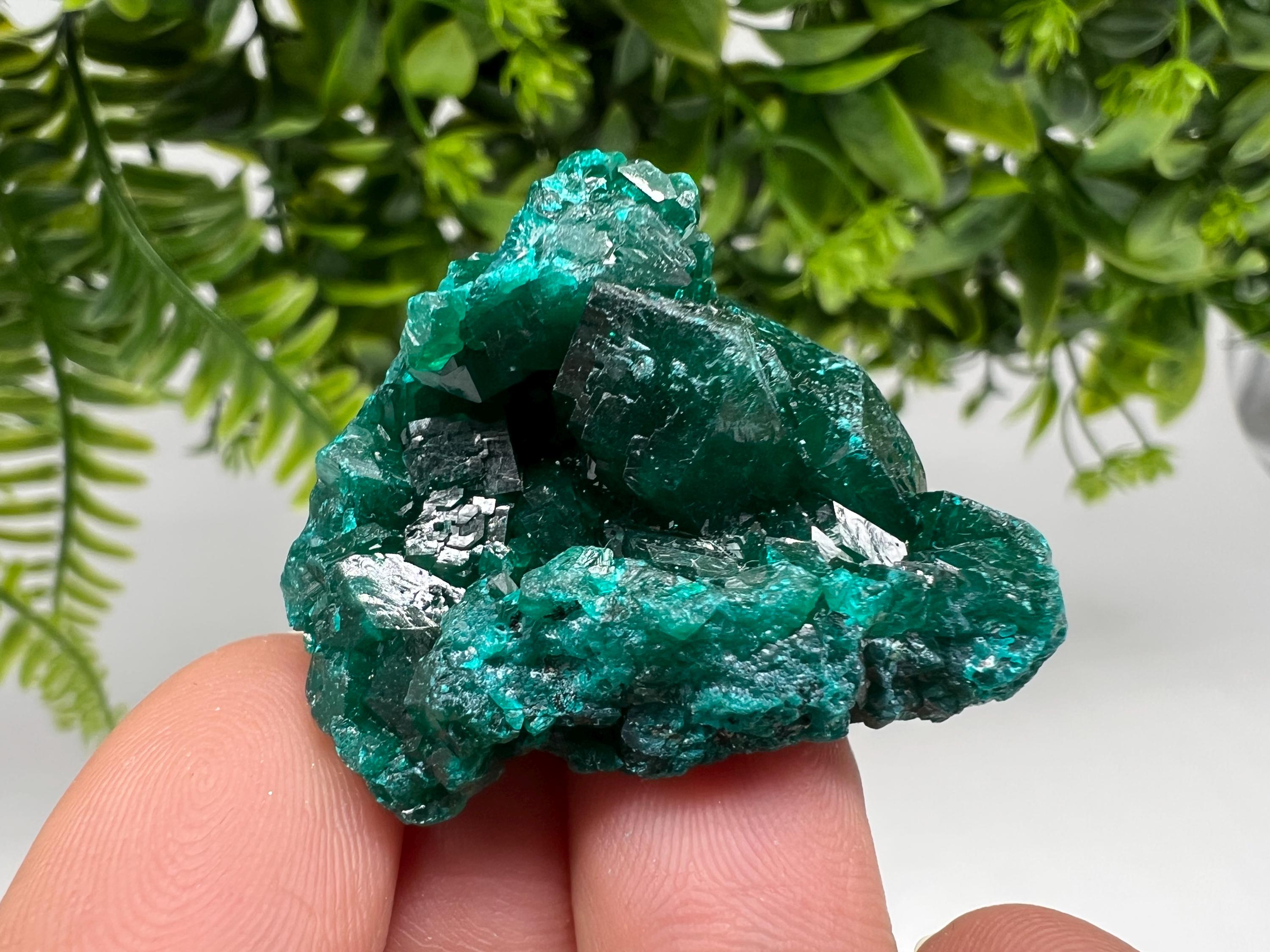 Stunning Green Dioptase from Sanda Hills,Mindouli,Pool Department,Mindouli District,Congo,green Dioptase,Dioptas Crystal,Dioptase collecting
