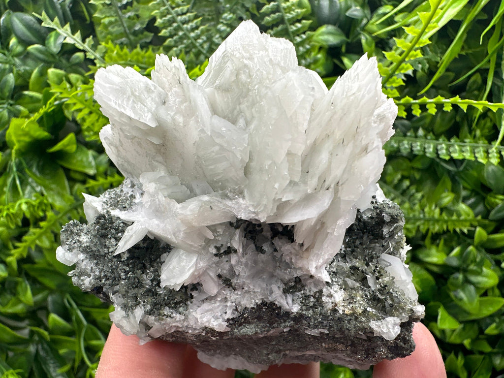 Calcite on Quartz with Epidote Mineral Specimen: Borieva Mine, Bulgaria