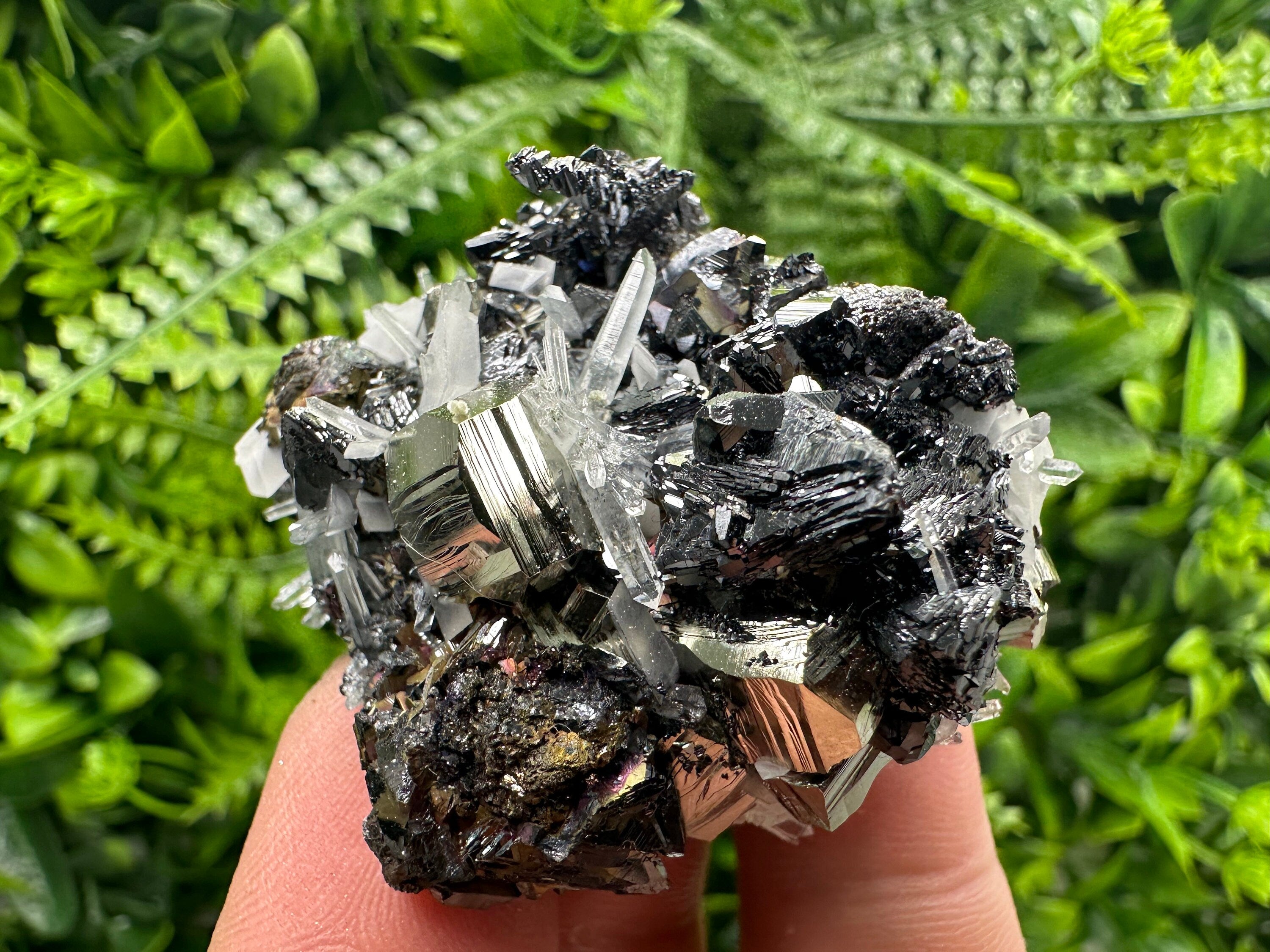 Pyrite Sphalerite Quartz Cluster, Borieva Mine Mineral Specimen