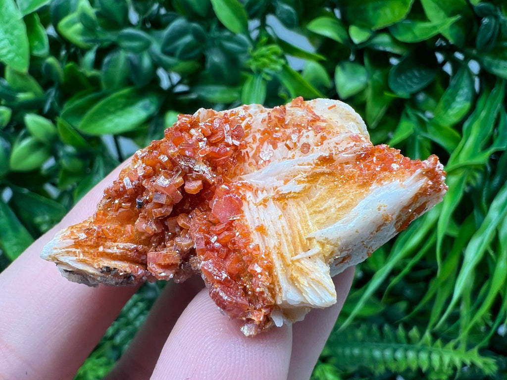 Red Vanadinite on Barite Specimen, Morocco Crystal Mineral