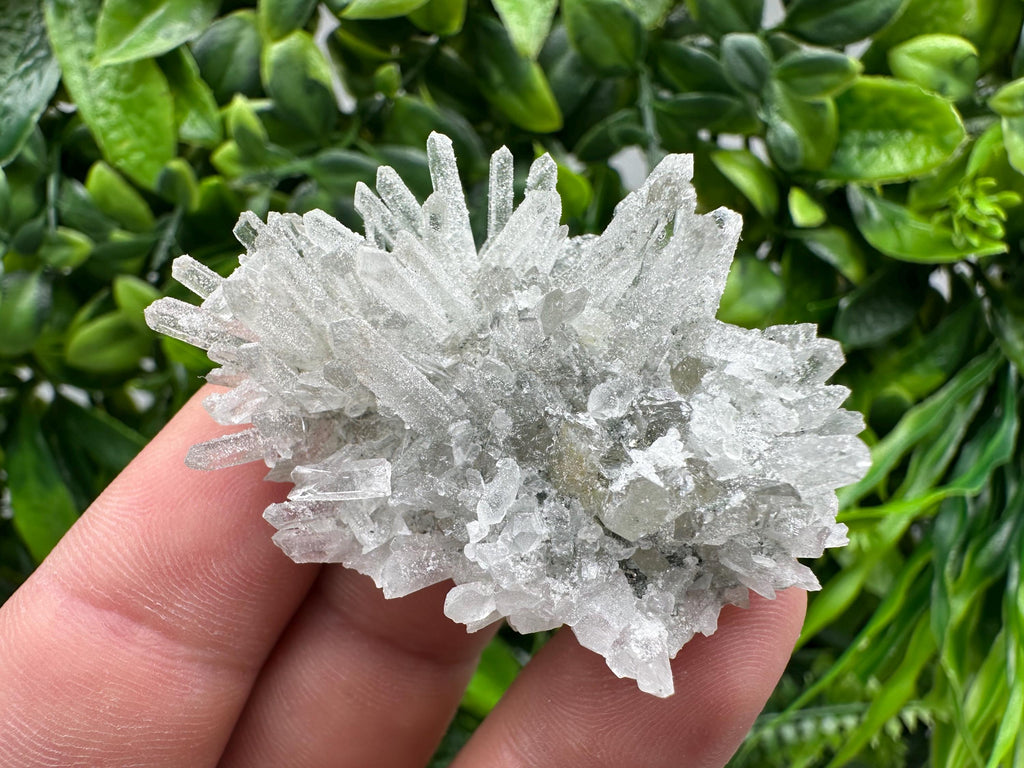 Transparent Quartz on Chlorite Matrix, Borieva Mine, Bulgaria
