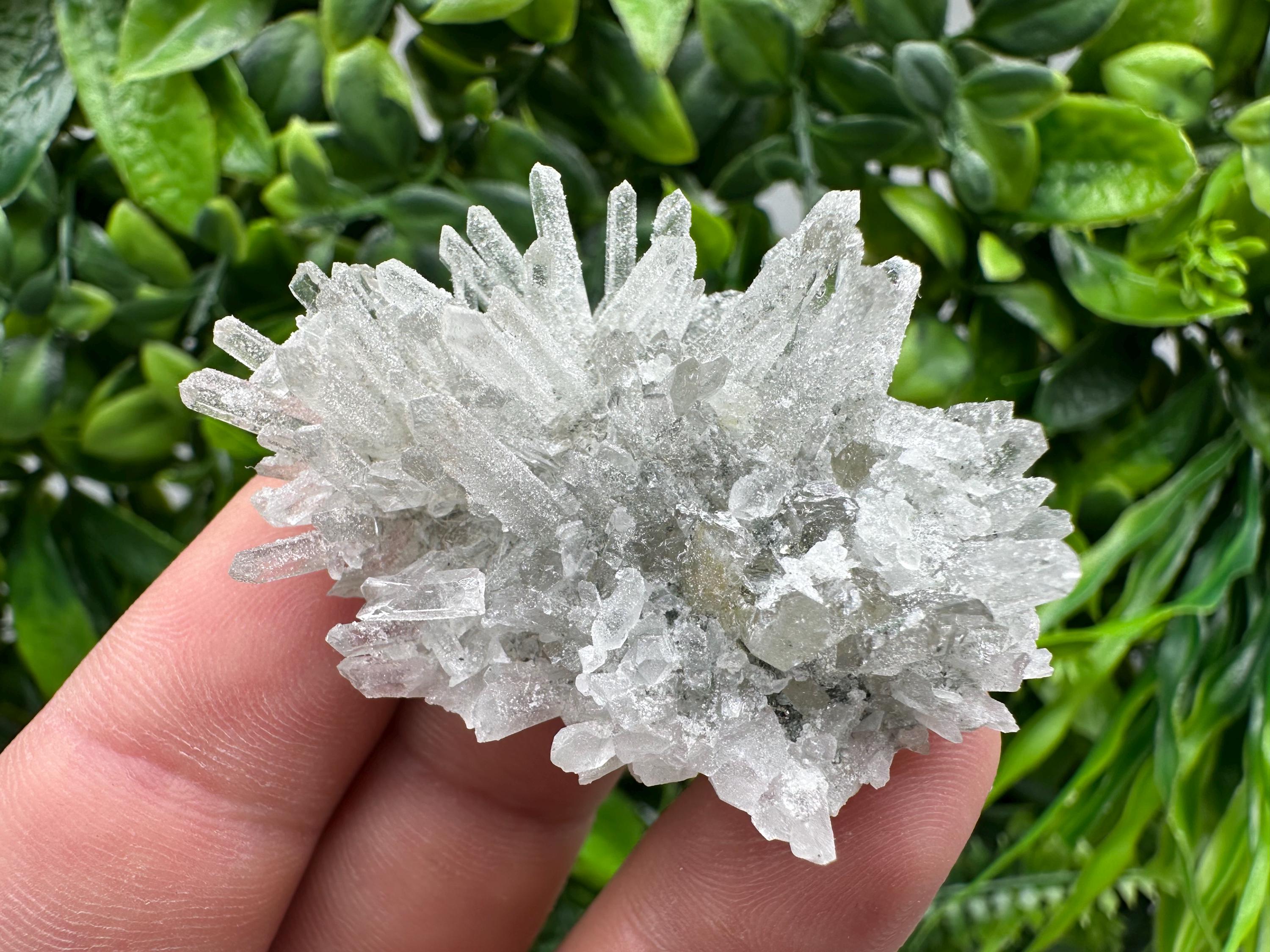 Transparent Quartz on Chlorite Matrix, Borieva Mine, Bulgaria