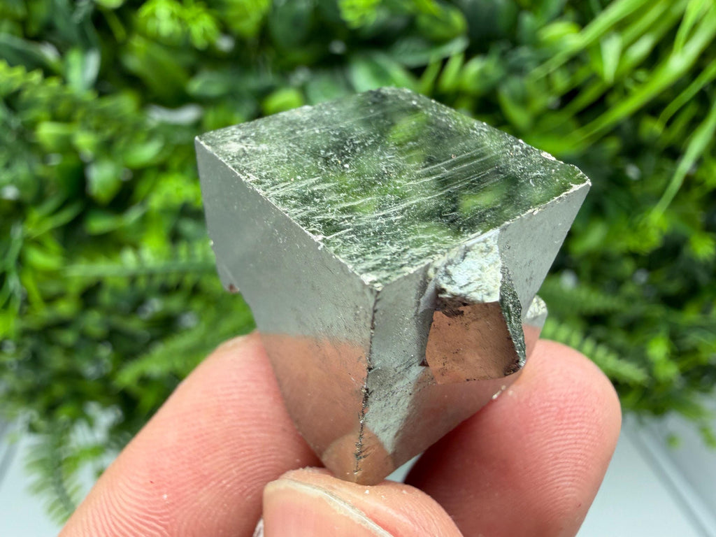 Interjoined Pyrite Cube, Shiny Mineral Specimen, La Rioja Spain